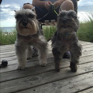 Meet your Posher, Tammy